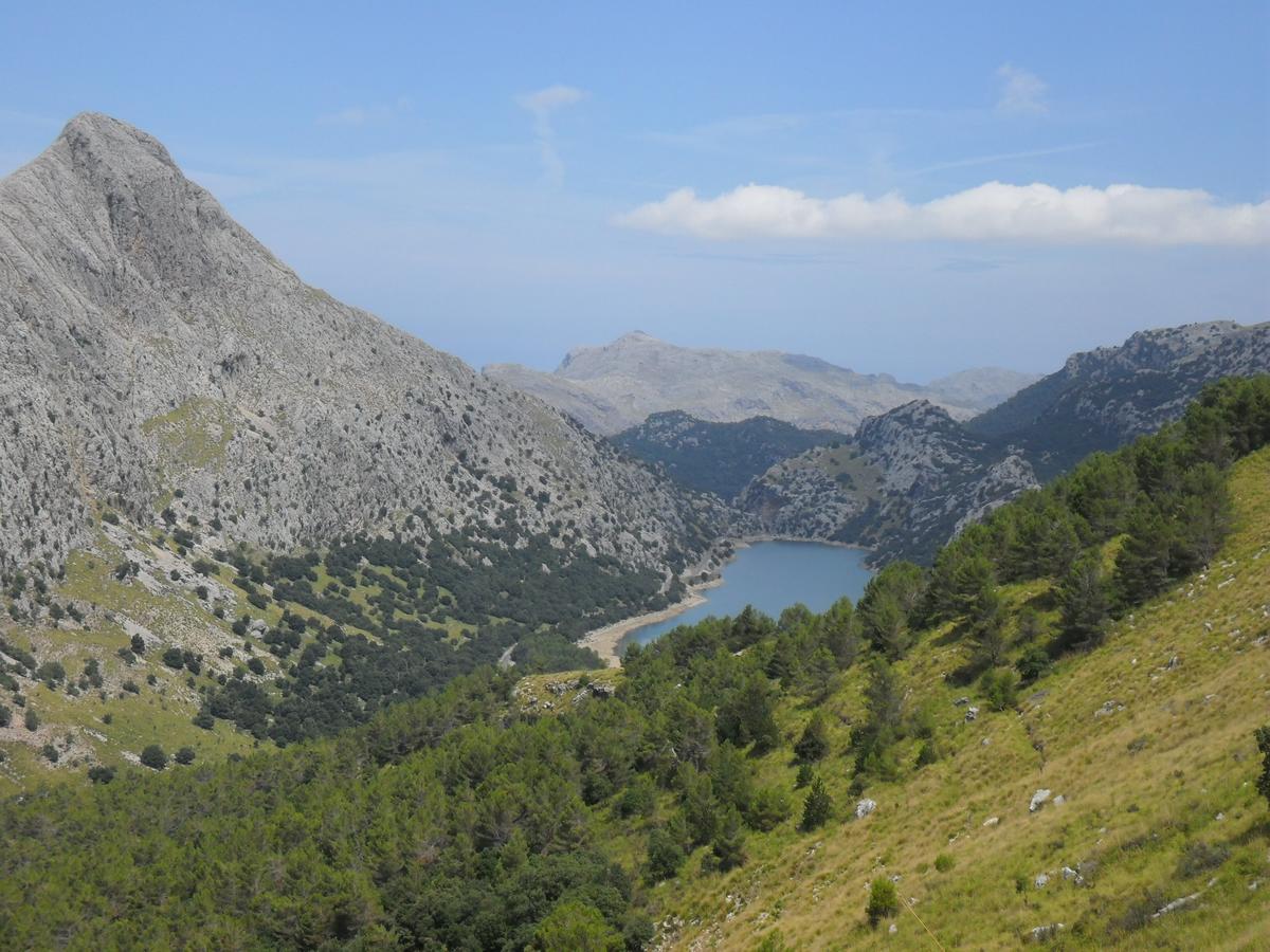 فندق Sol Port Soller Puerto de Sóller المظهر الخارجي الصورة
